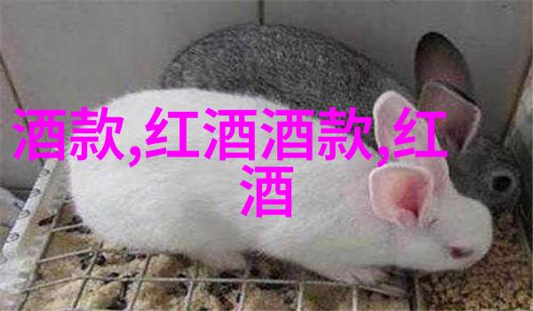 藏品之谜爱藏网揭秘收藏界的黑暗面