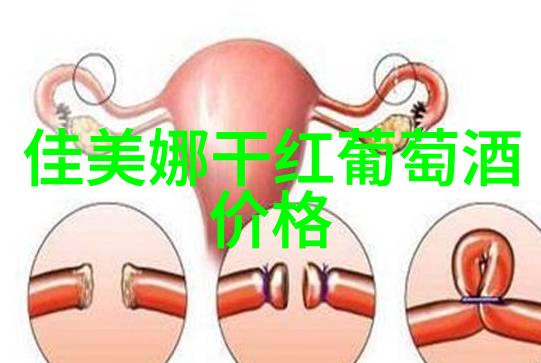 学会思考享受乐趣小学生智力训练大赛