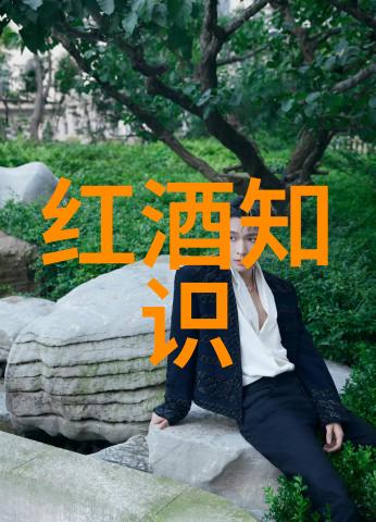 中国的红酒文化-醉美中国探索古韵中的现代葡萄酒