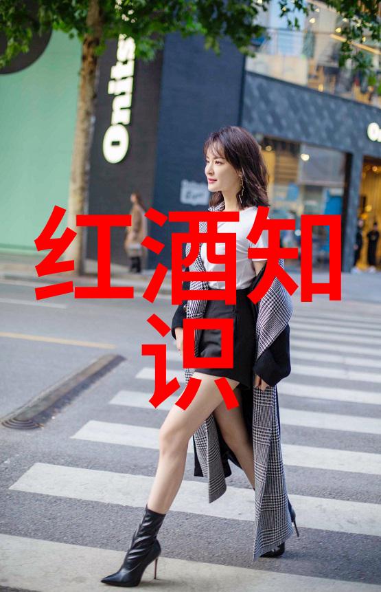 法国葡萄酒之谜布尔戈尼和波尔多的秘密花园