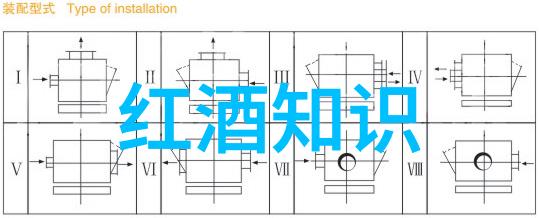 如何通过眼眸大小和形状来判断猫咪品种