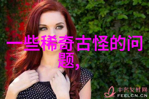探索法国最著名葡萄酒产区波尔多勃艮第与卢瓦尔河谷的葡萄酒传奇