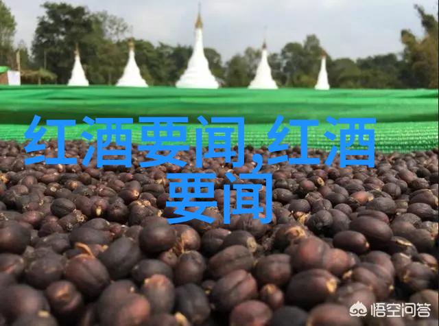 猫咪的品种有哪些图片揭秘喵星人猫咪品种图库