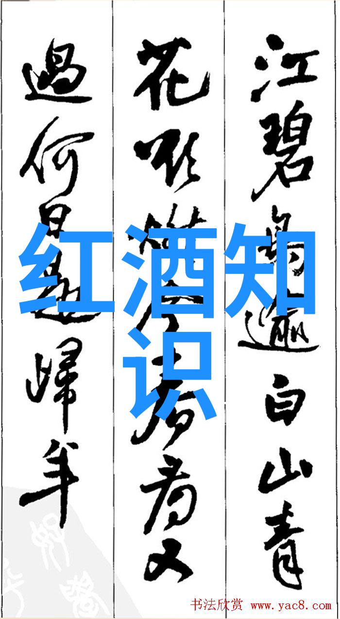 一杯酒中品味人生