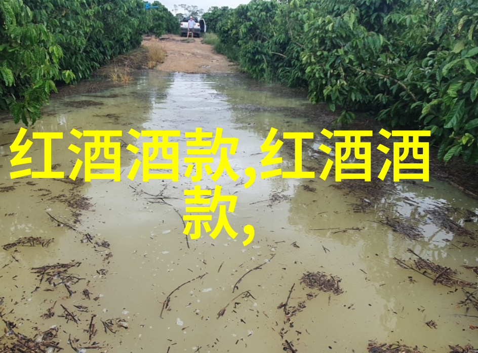 五一冷门旅游城市我带你去小众旅行的秘密基地