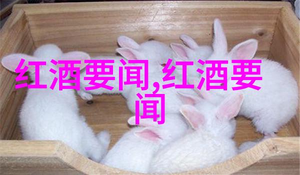 如何提高百度答题拍照的准确性