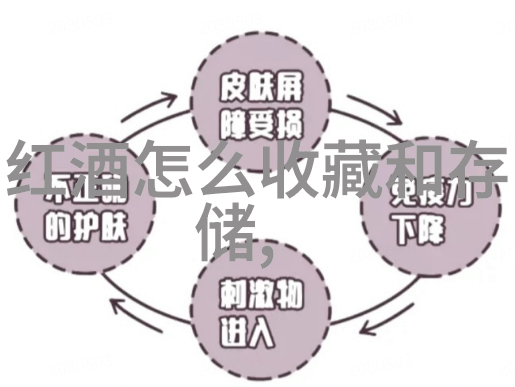 探索猫科动物的多样性领略众多品种的魅力