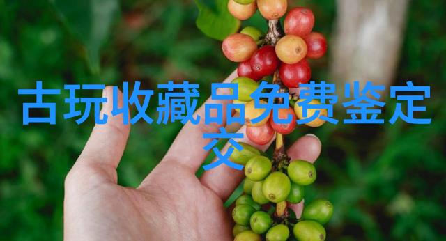 欧洲 十大宮殿中的藝術珍品展覽