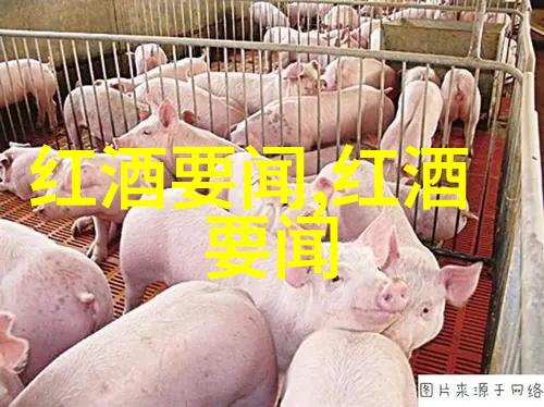 梦幻庄园攻略揭秘梦幻庄园我如何一探究竟