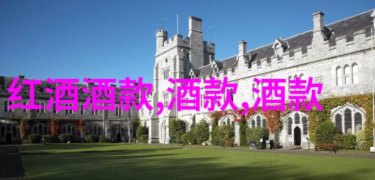 篮球神话NBA得分王的秘密之战