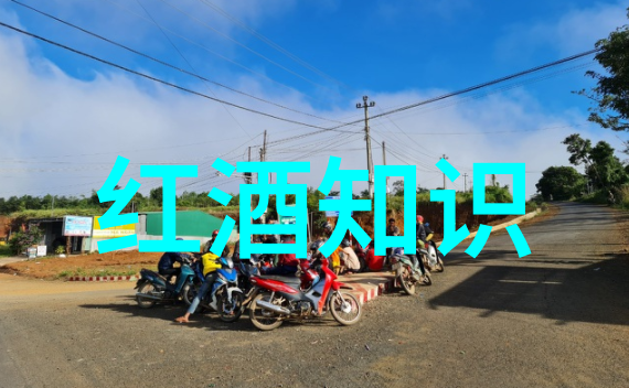 塔斯马尼亚法国最有名的两个葡萄酒产地之对偶