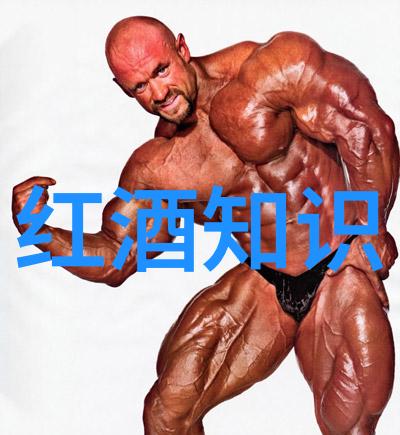 探索江南古韵上海周边热门景点两天游记