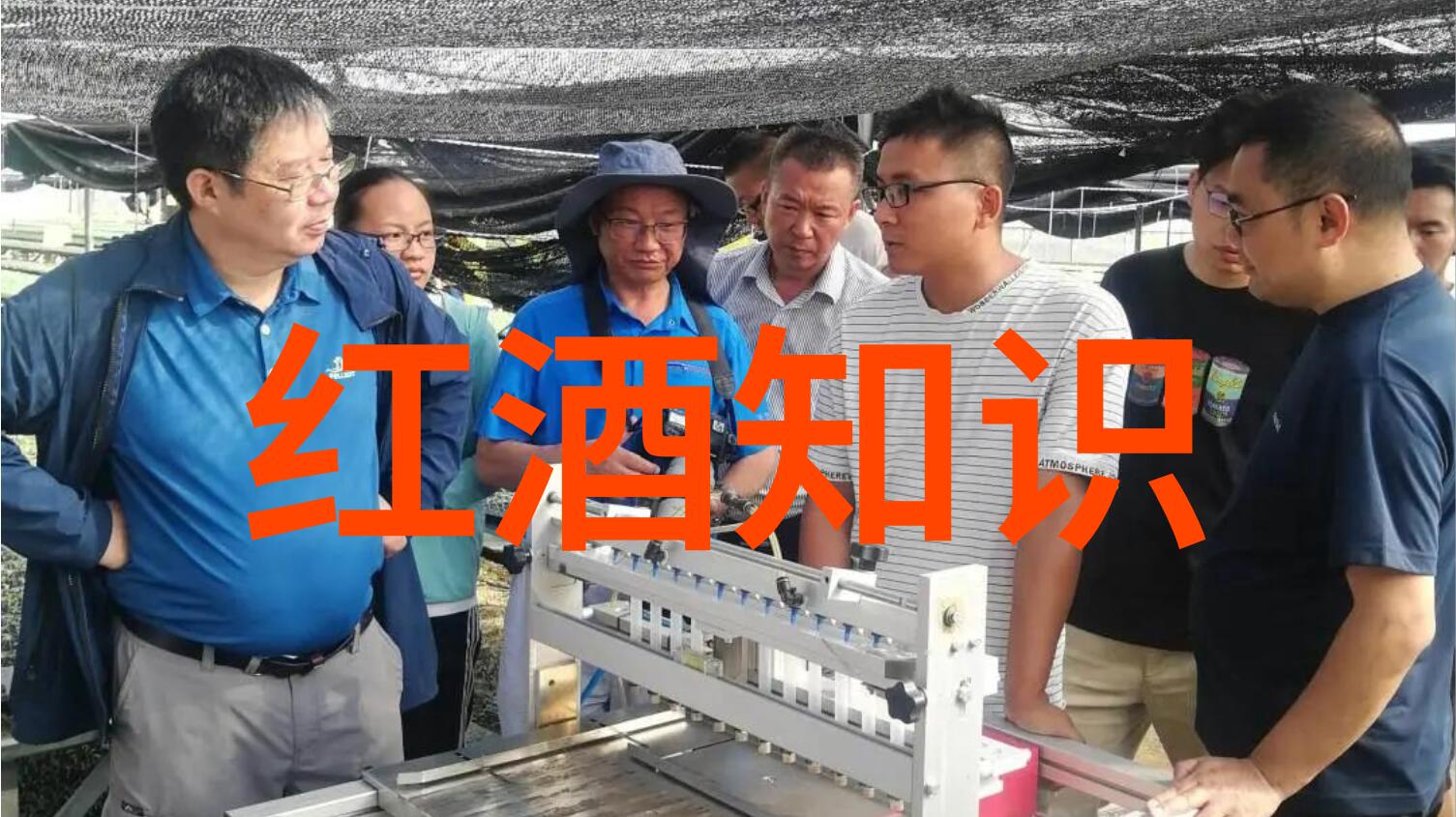 探索一小时车程内的上海周边美食之都南京与苏州的诱惑