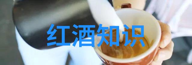 猫咪品种探秘揭秘那些神奇的猫科宝贝