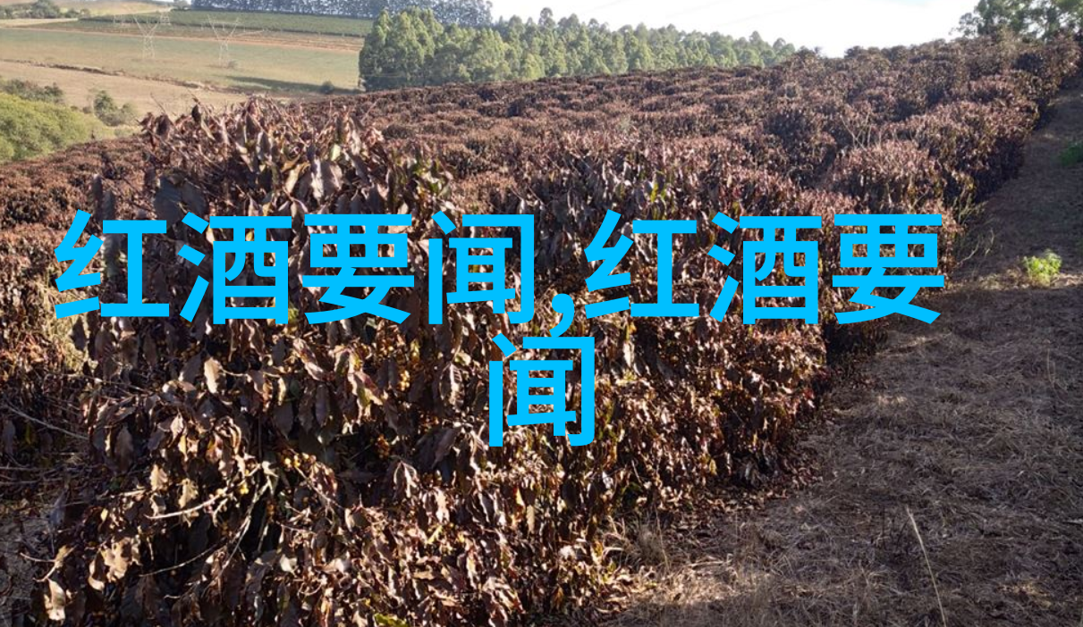 童话二分之一未删减版 - 灵魂深处的魔法与沉默