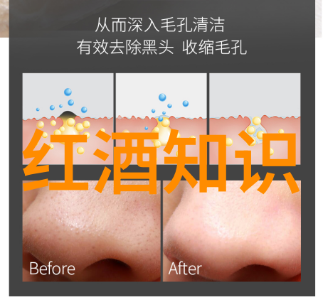 域名收藏网上宝库的钥匙与秘密花园