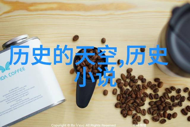 时间机器里的选择与后果如果你能回到任何一个重要歷史时期你会做出什么选择来改变它吗