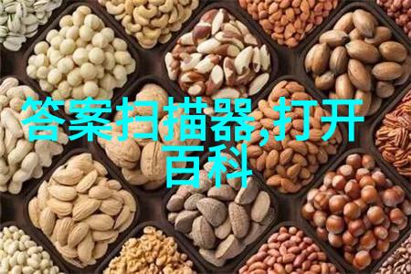 花海中的诗探索玫瑰品种大全图解之美