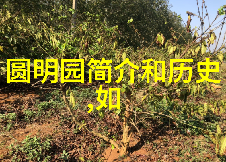 天下第一美揭秘全球最惊心动魄的旅游景区