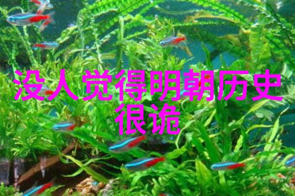 上海周边城市哪个好玩美食新体验黑毛猪火腿配红酒犹如探险的乐趣每一口都是对味蕾的挑战每一滴是对舌尖的颂