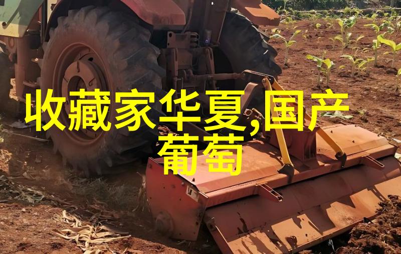 探秘世界猫咪的品种图片大全