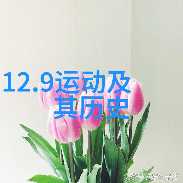 纸币收藏投资稀有货币的长期增值潜力