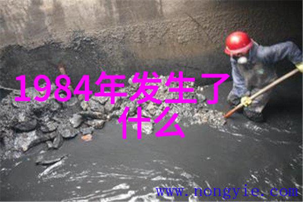 玉米大戏哪些品种才是主角