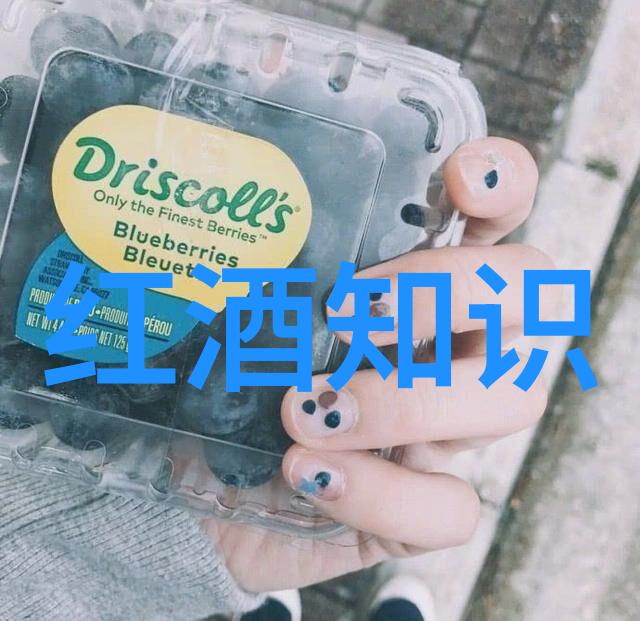 中世纪欧洲庄园人数考察探究封建领主与农奴的居住规模