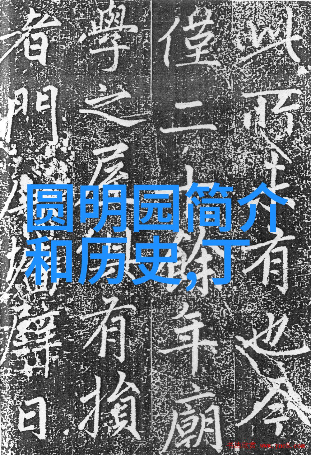 红酒品鉴与收藏深入了解旧红酒文化的艺术与魅力