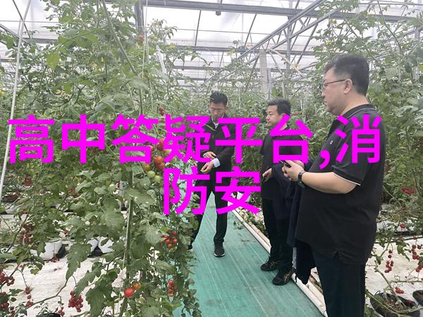 CHRISTMAS农村夫妻HO咱俩这Christmas village里的暖心故事