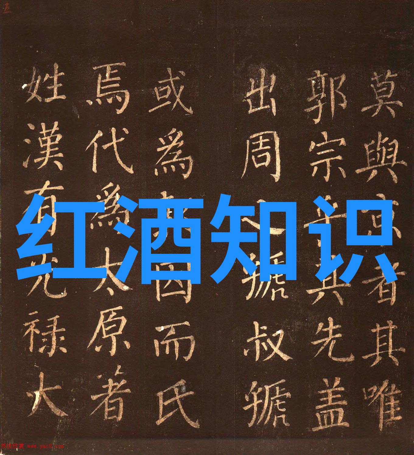 中国最豪华私人别墅-龙庭巨宅揭秘中国顶级豪宅的奢华与科技