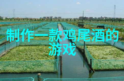 收藏界探秘揭秘那些隐藏在书架下的珍品