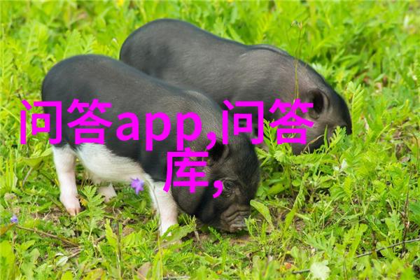 深邃葡萄园之谜红酒文化的秘密与知识探寻