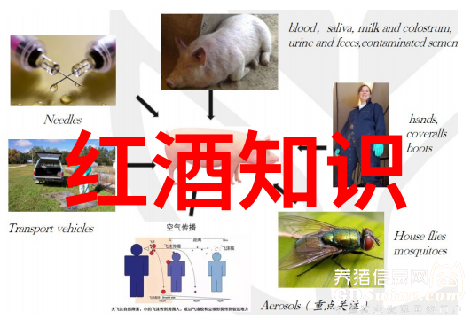 藏宝图谜揭秘那些隐藏的收藏功能