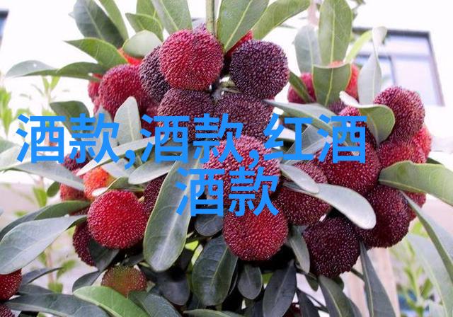 佛光普照成都附近的著名佛教寺庙游记简阳文殊院