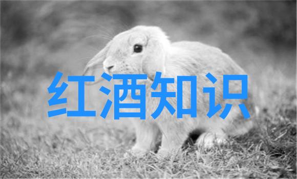 老头猛挺进她的体内