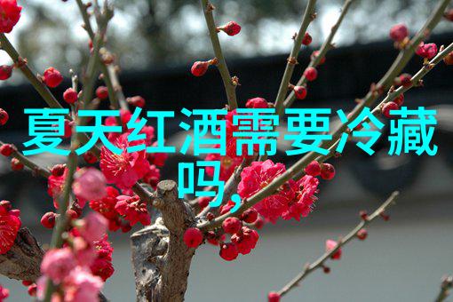 解锁百度知道付费咨询的全貌专业知识高效解决方案
