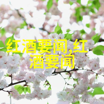 花开富贵全球玫瑰爱好者心中的十大宠儿
