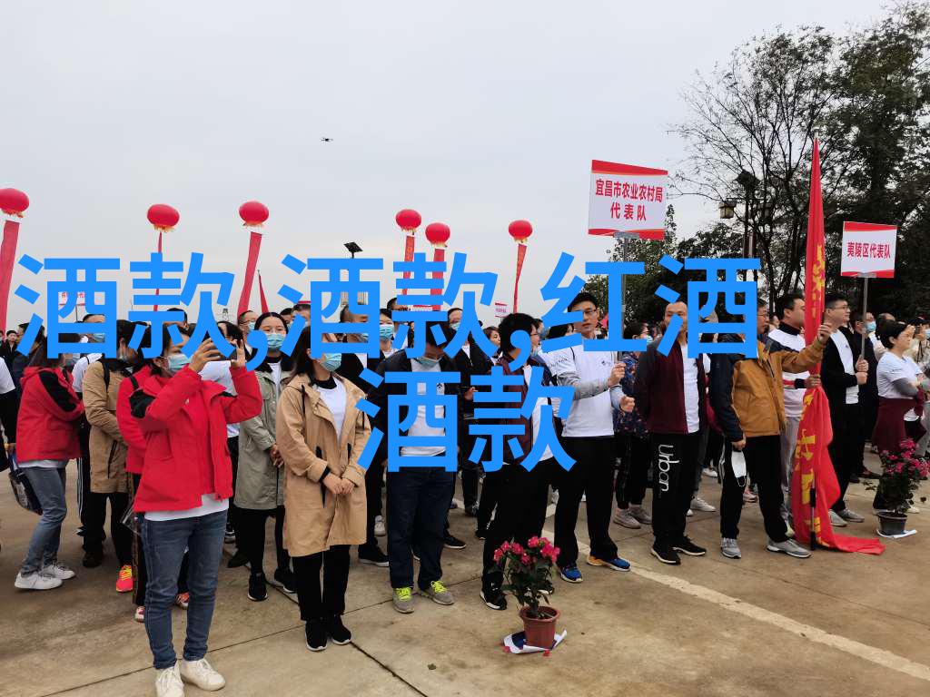 法国葡萄酒之旅从庄园到酩悦