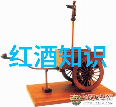 珍稀书籍的收藏技巧怎样才能保持它们的价值不减