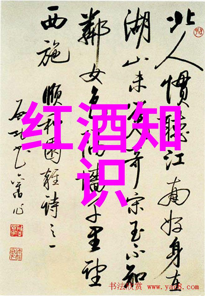 历史的喵叫声回忆与变迁的交响乐