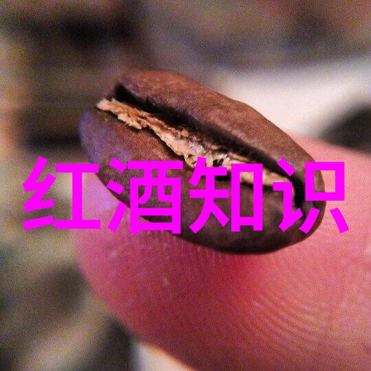 猫品种查询 - 猫咪宝典全面解析各种猫品种的特点与爱护秘诀