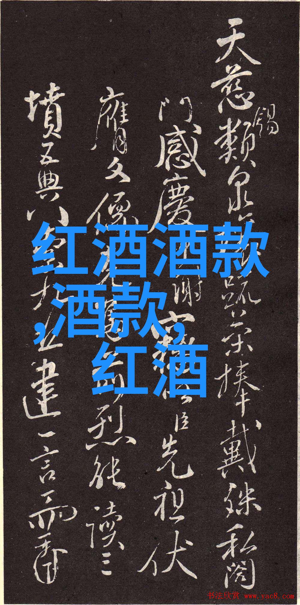 探索猫咪世界多样化的品种与个性