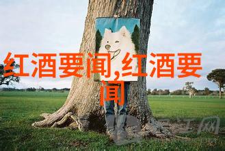 玉米品种简介金色巨龙的辉煌篇章
