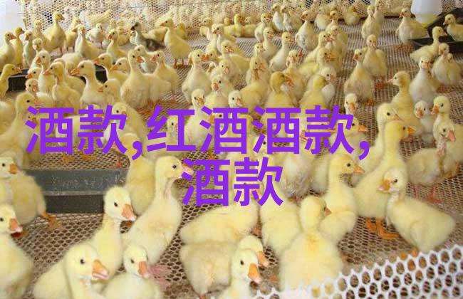 葡萄酒品鉴解读酒瓶上的秘密符号