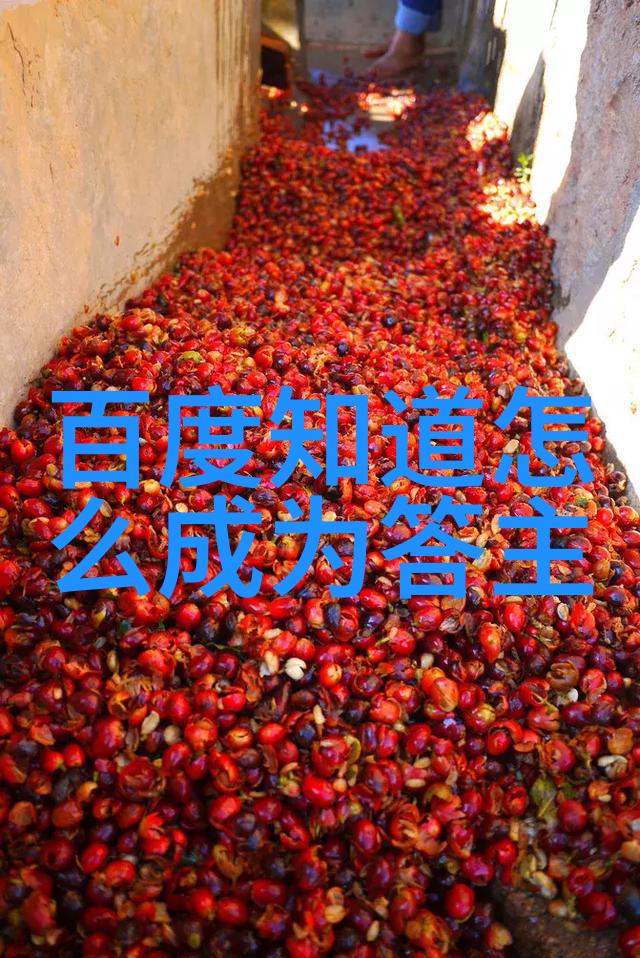 画出灵魂揭秘自学动漫之谜