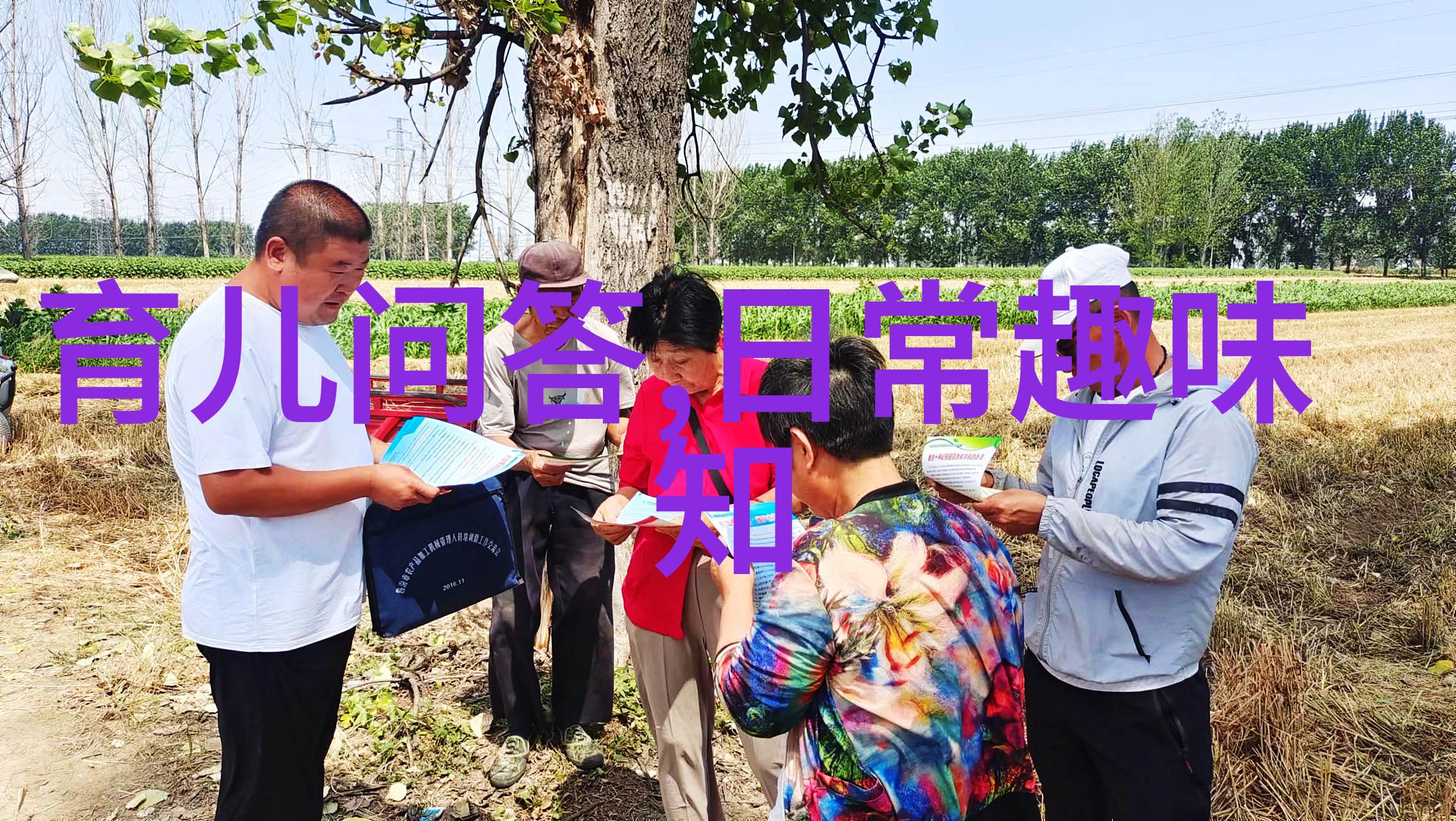跨越时空的智者与勇士数风流人物在当代社会的故事