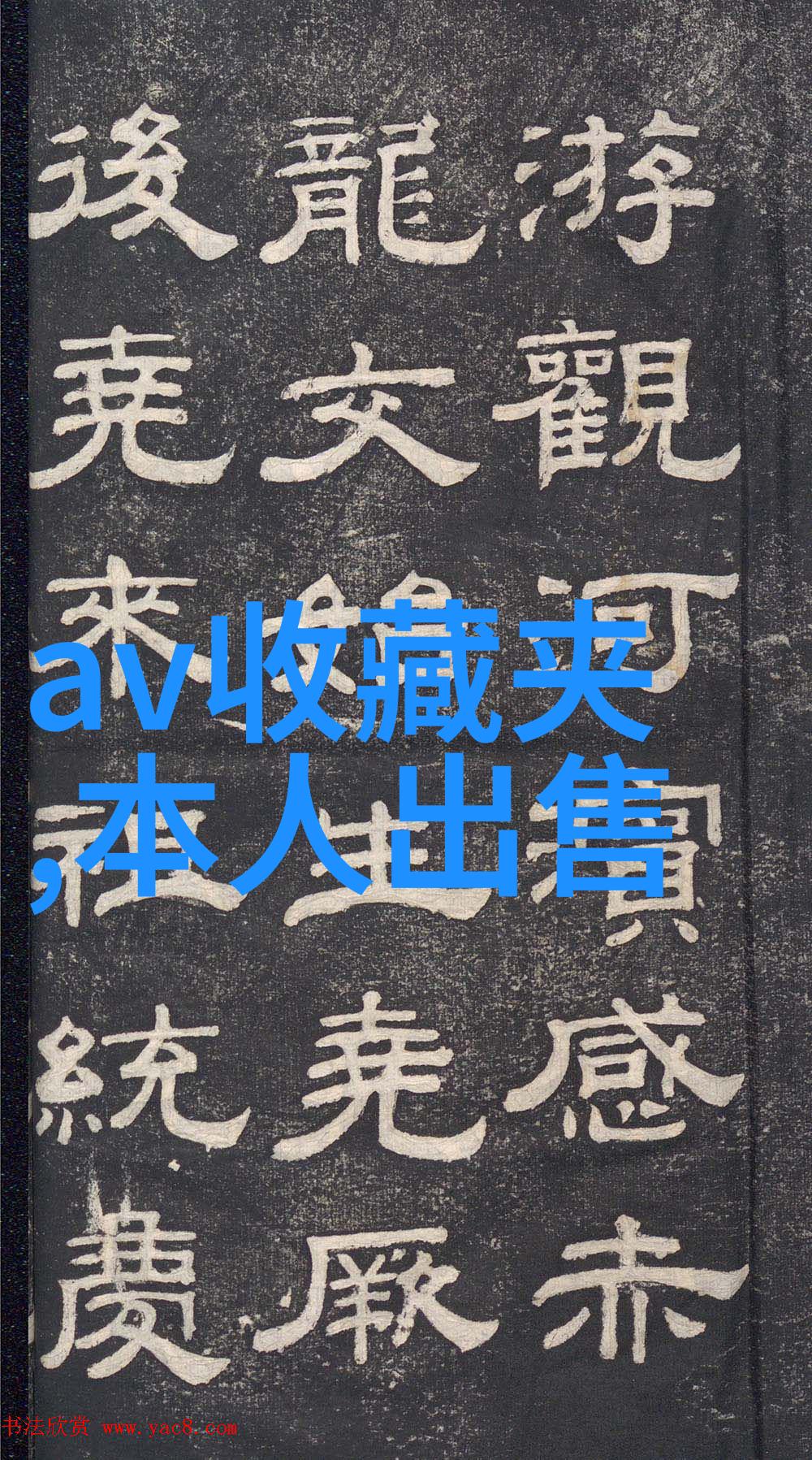 中国收藏网探索古籍宝库的数字征途