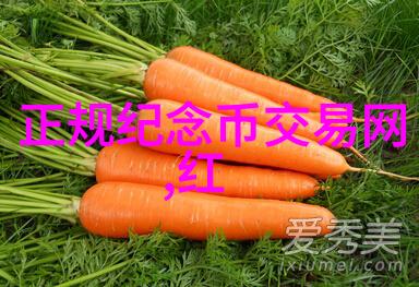西安周边游二日游我来带你玩转陕西美食之都