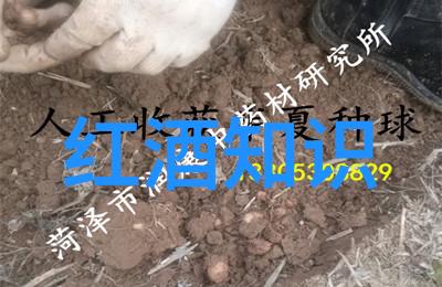 百度问答大师如何在搜索引擎中不出错地找到答案